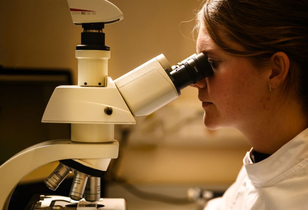 Microscope work