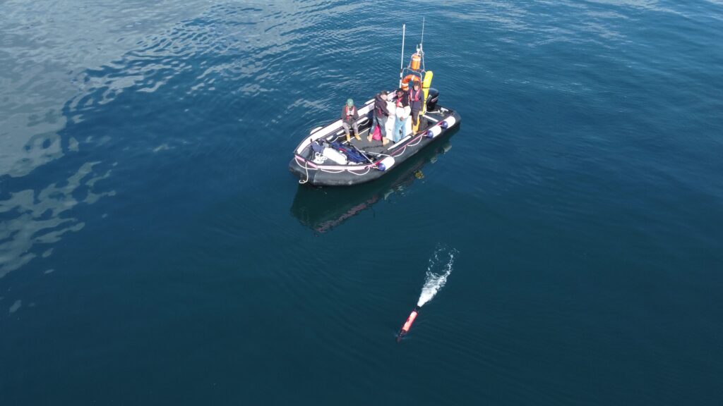 Dr Lilian Lieber uses technology to gain critical insights into ocean health and shifts within marine ecosystems.